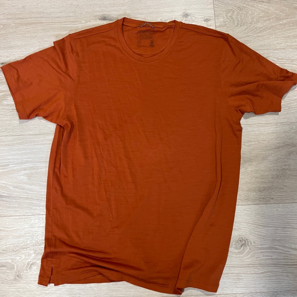 Patagonia capalene cool merino shirt NWOT